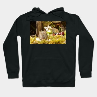 Wild  cute garden mouse Hoodie